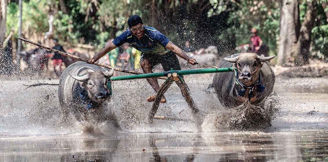 Indonesia’s ‘forgotten islands’ to be explored on new voyage