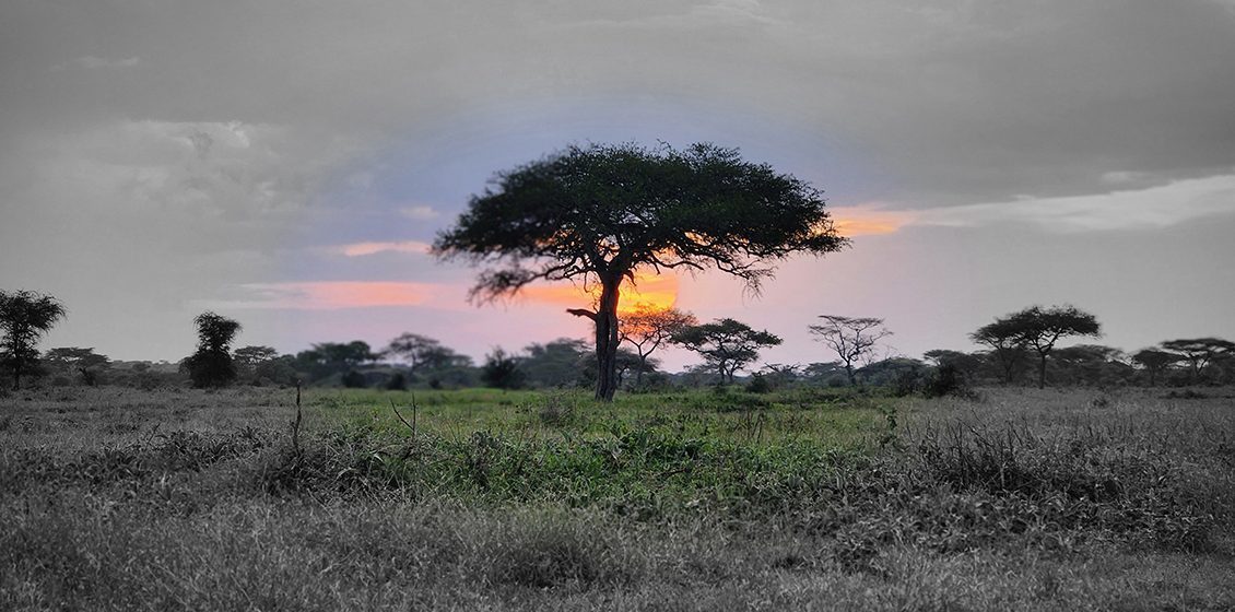 Big Five Tours becomes Certified B Corporation