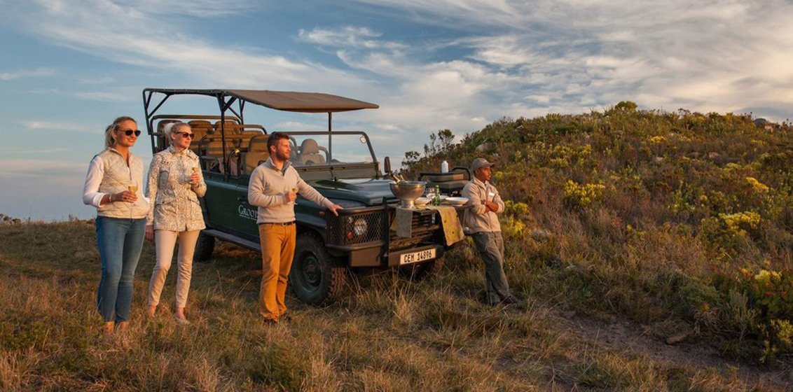 New Wilderness ‘Botanical Art & Safari’ excursion